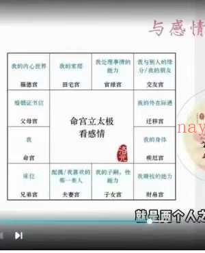 洛元老师 紫微斗数专题系列之《感情专题课》5集