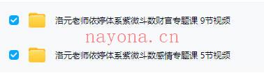 洛元老师【依婷体系紫微斗数2套】感情专题+财官专题