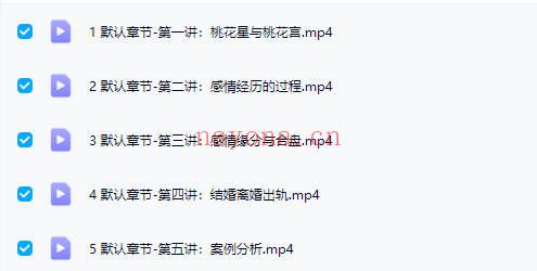 洛元老师【依婷体系紫微斗数2套】感情专题+财官专题