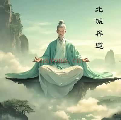 陈真人 道家功法【北派丹道】视频9集