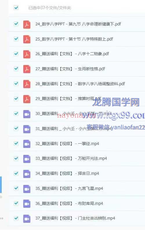 李星辰 数字八字37集视频课