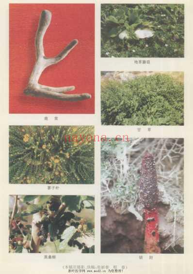 中医专病专治秘方精要第5卷.pdf