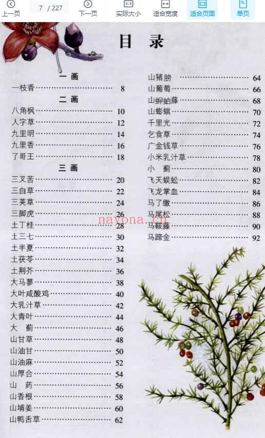 潮汕青草药彩色全书 _潘鸿江着.pdf227插图