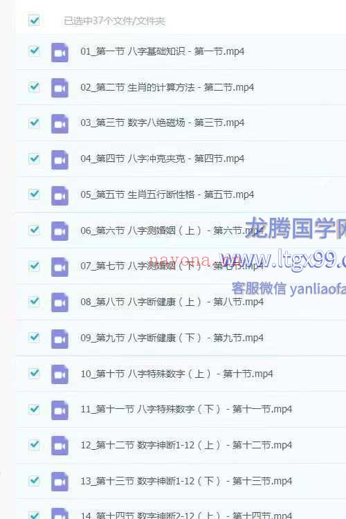 李星辰 数字八字37集视频课
