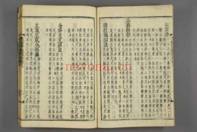订正东医宝鉴_和刻本_十九.pdf