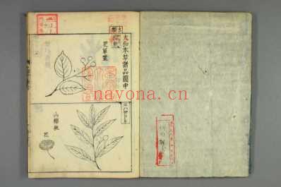 大和本草-日宽永刻本_十九.pdf