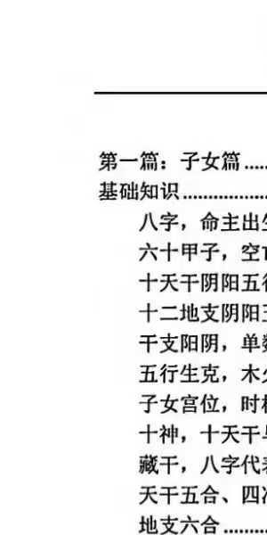 段建业体系《弟子传承班培训图》373页