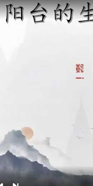 道一《家居风水》20集