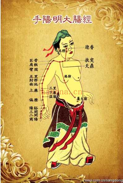 人体十二经络图-6寸版.pdf