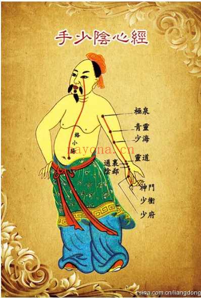 人体十二经络图-6寸版.pdf