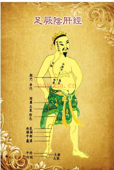 人体十二经络图-6寸版.pdf