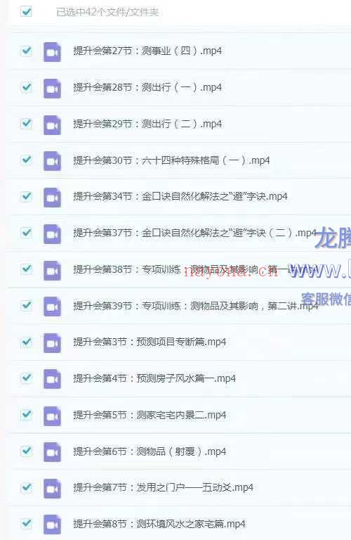 张瑞依2025 大六壬金口诀预测学 全科班
