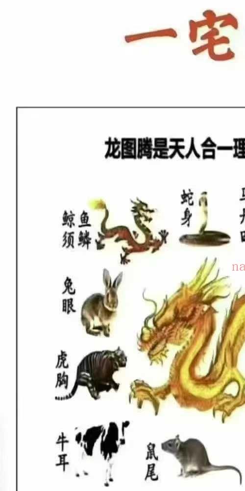 酒景献 一宅断核心 定六亲 铁口直断 图解阳宅吉