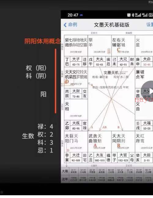 晓夏紫薇 自化教学课程