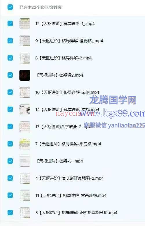 天枢老师八字宗师进阶课视频+课件