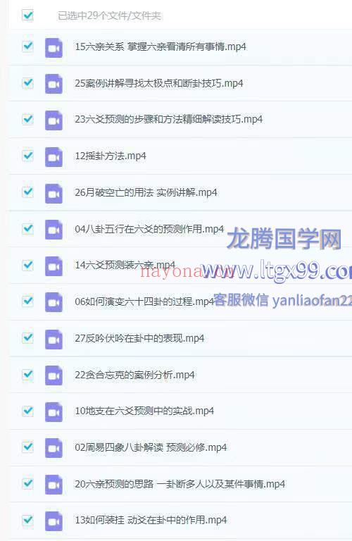 六爻精准预测 大唐行易周易解读29集