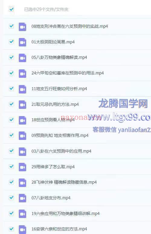 六爻精准预测 大唐行易周易解读29集