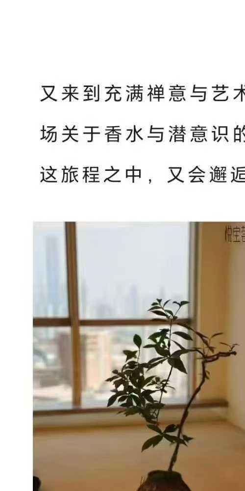 五行香水视频课