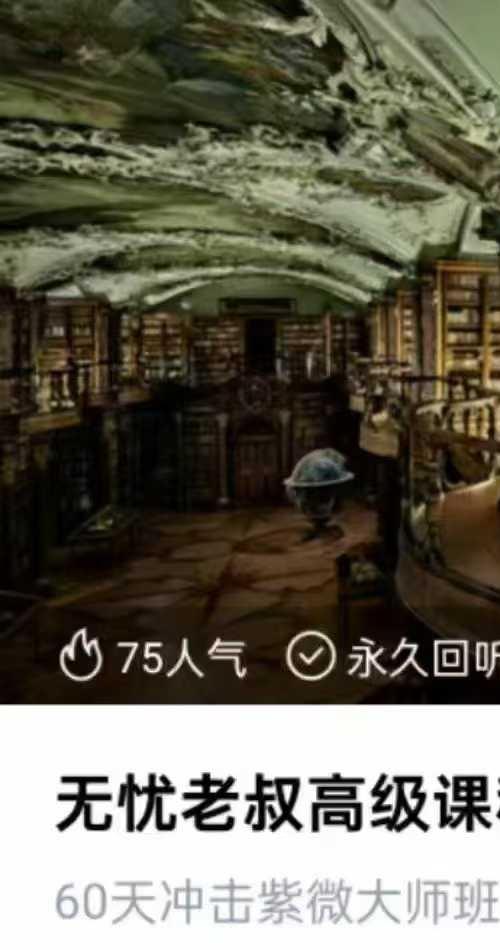 无忧老叔 紫微斗数基础+高级