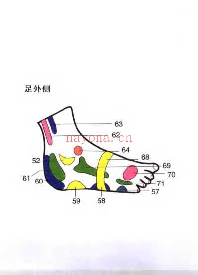 袖珍足按摩彩色图谱.pdf