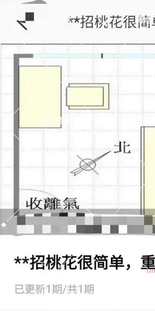 陈龙羽招桃花