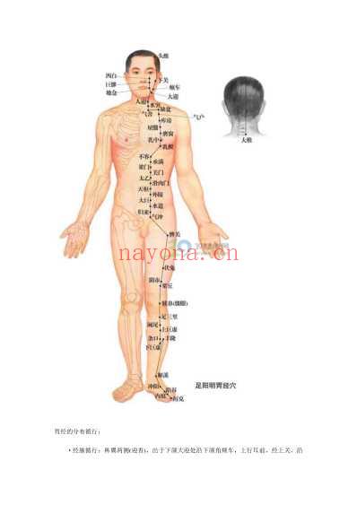 打通胃经穴位打造健康养生.pdf