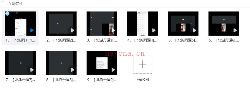 陈真人《北派丹道》教学视频9集Y插图