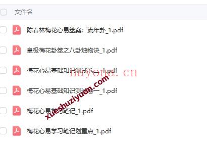 陈春林《2025版梅花易数心易学习笔记》PDF文档6册合集，附试卷、流年卦等Y插图