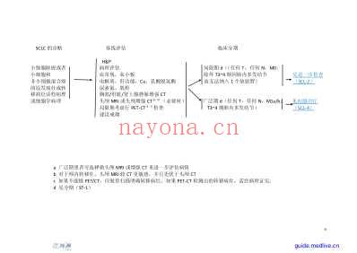 NCCN_小细胞肺癌临床指南第2版中文翻译本.pdf