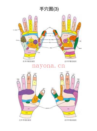 针灸穴位挂图.pdf