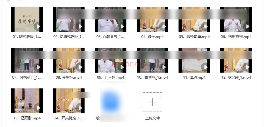 慈海卢国东 古法道医养生功法训练营14集视频课Y插图