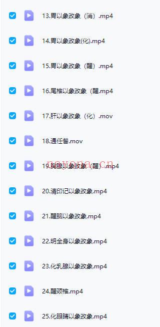 许明堂许老师【扁鹊意象疗愈】以象改象 视频25集