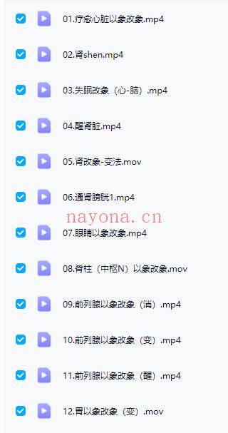 许明堂许老师【扁鹊意象疗愈】以象改象 视频25集