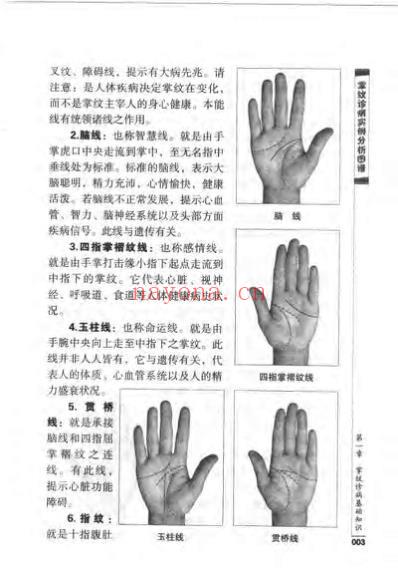 掌纹诊病实例分析图谱_赵理明.pdf