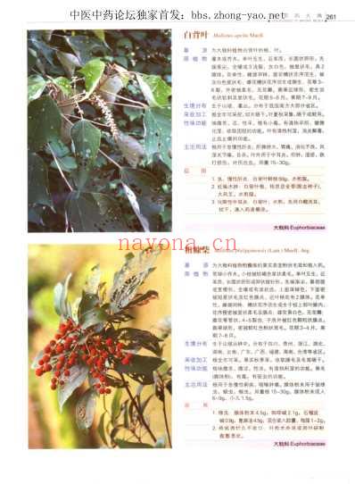 中草药大典-下册-陈士林林余霖.pdf