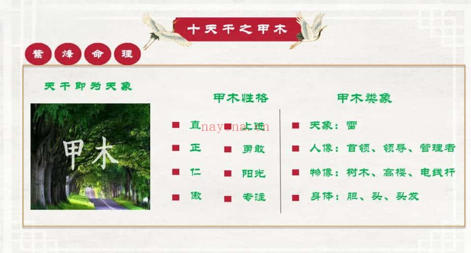 《玄门紫烽命理》138页.PDF高清电子版
