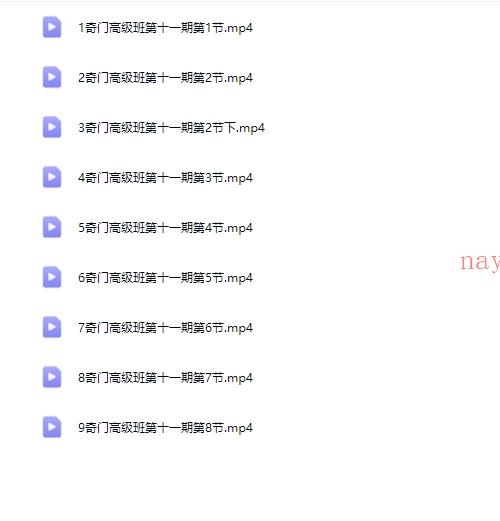 李政焱奇门高级班第11期8集