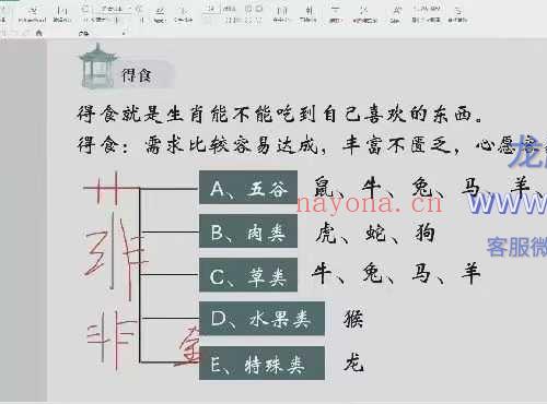 瑞希老师 名情财生肖姓名学系统课程