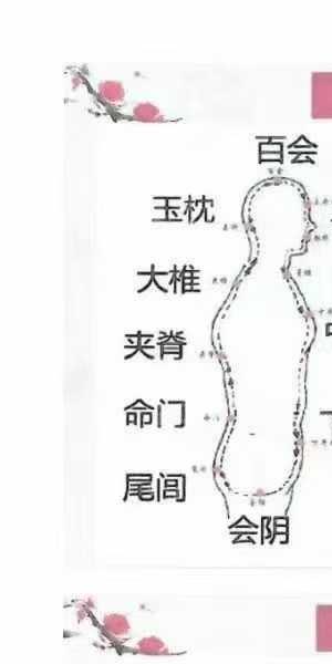 天豪道长《龙虎山天师符秘法讲义》珍藏版504页