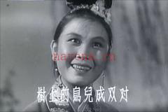 黄梅戏老电影《女驸马》《天仙配》等六部打包下载