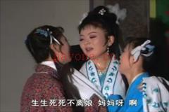 庐剧《一双苦儿女》全集视频 郑芳 陈琳