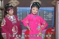 庐剧《婆与媳》全集视频 陈琳 李文杰