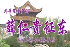 庐剧《薛仁贵征东》全集视频 魏小波 王小兰