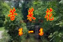 庐剧《苦菜花》全集视频 吴南野 陈应兰