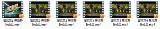 庐剧《苦菜花》