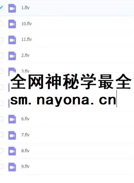 刘和易梅花易数11集