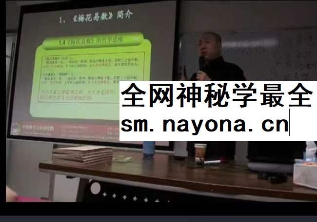 刘和易梅花易数11集