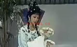 越剧《钗头凤》选段：断肠人-袁派.方亚芳MP4视频下载