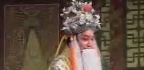 豫剧《王华买爹》第10集MP4视频下载