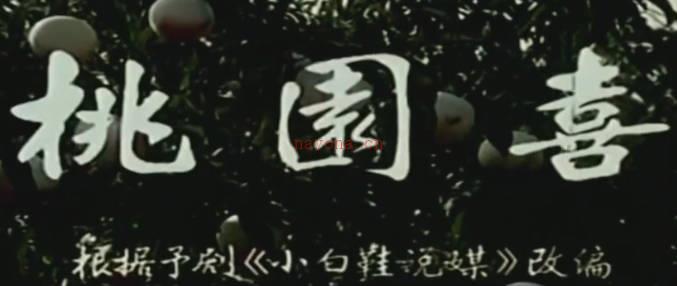 豫剧电影《小白鞋说媒》 又名《桃园喜》全剧.商丘地区豫剧团.张月荣  吴心平.MP4视频下载